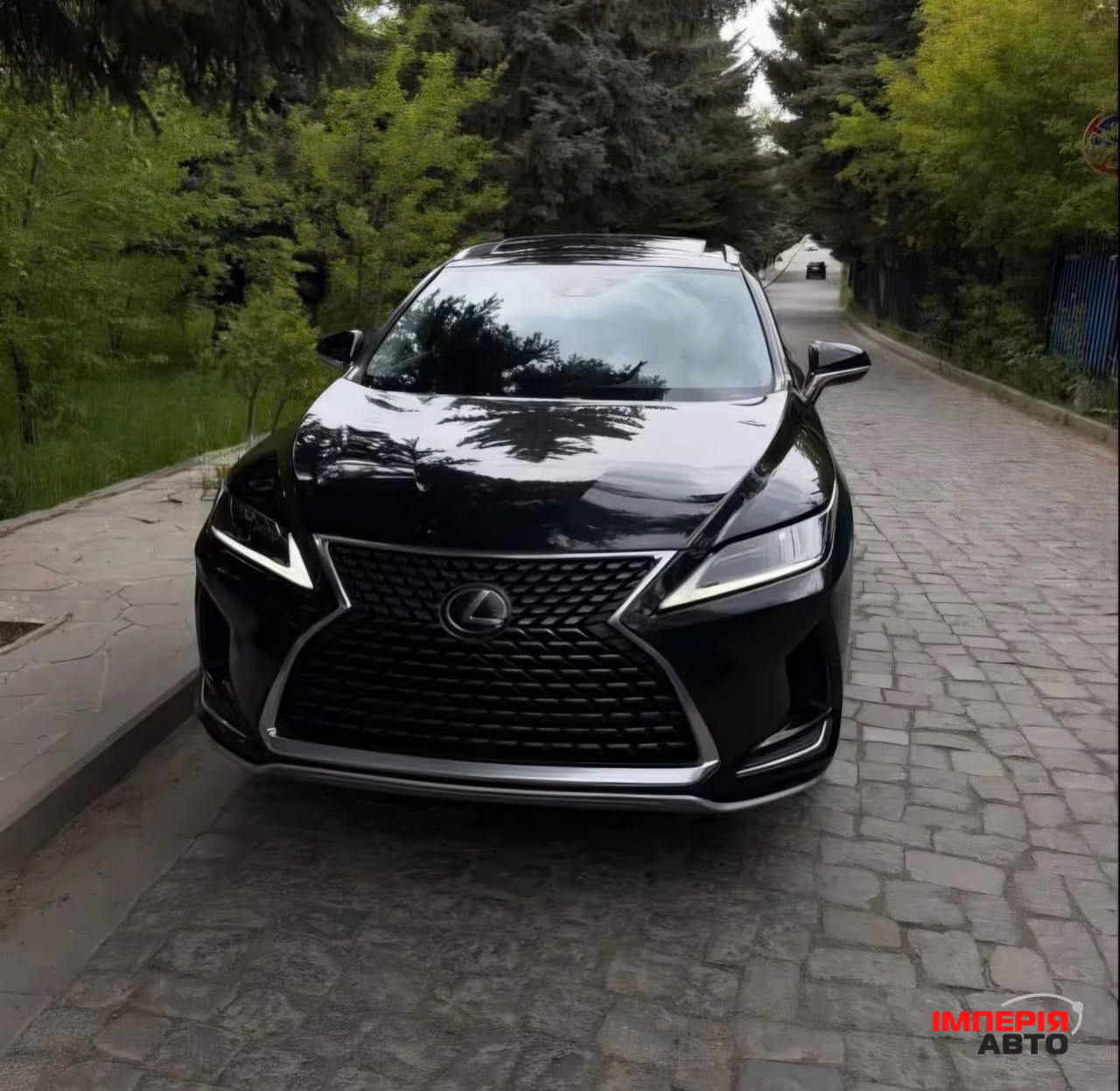 Lexus RX - фото 1
