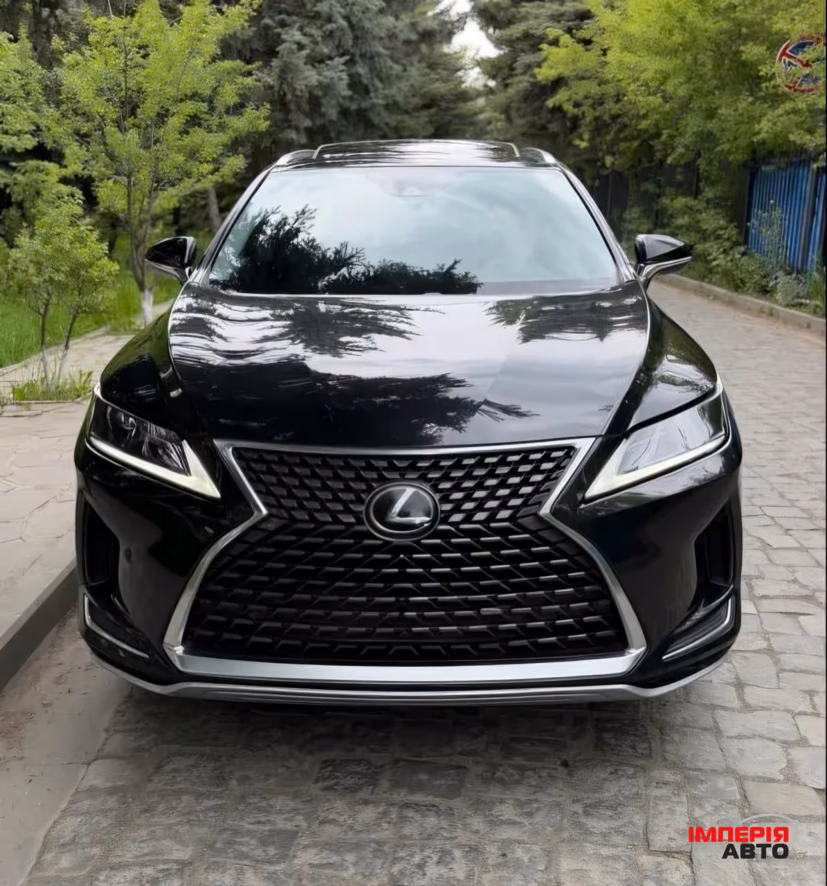 Lexus RX - фото 5