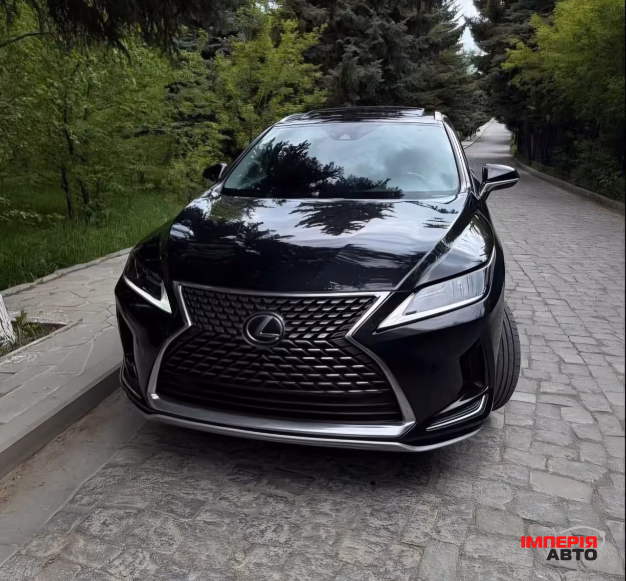 Lexus RX - фото 4
