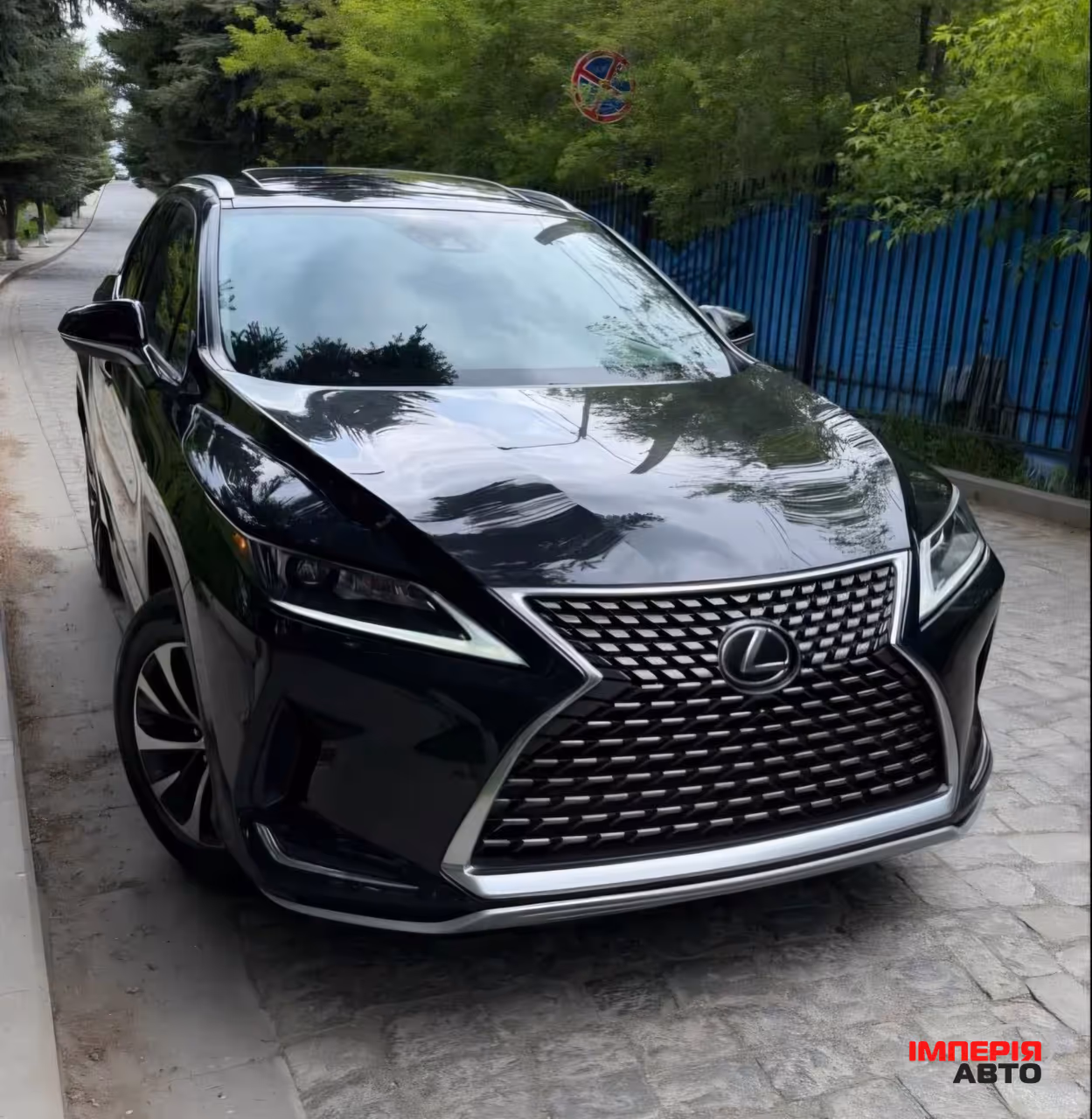 Lexus RX - фото 3