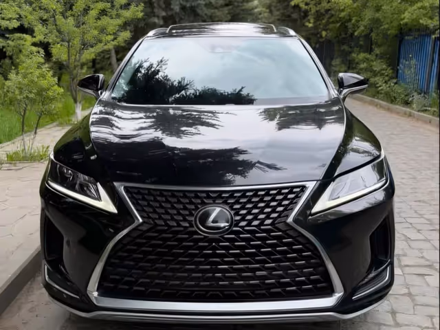 Lexus RX - фото 5