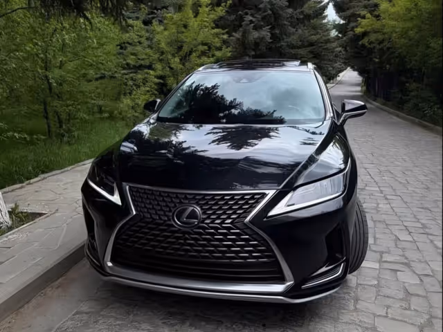Lexus RX - фото 4