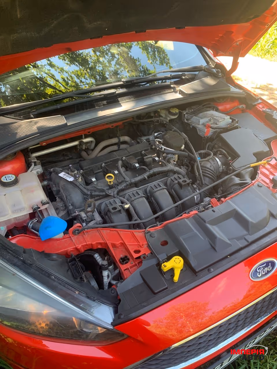 Ford Focus - фото 7