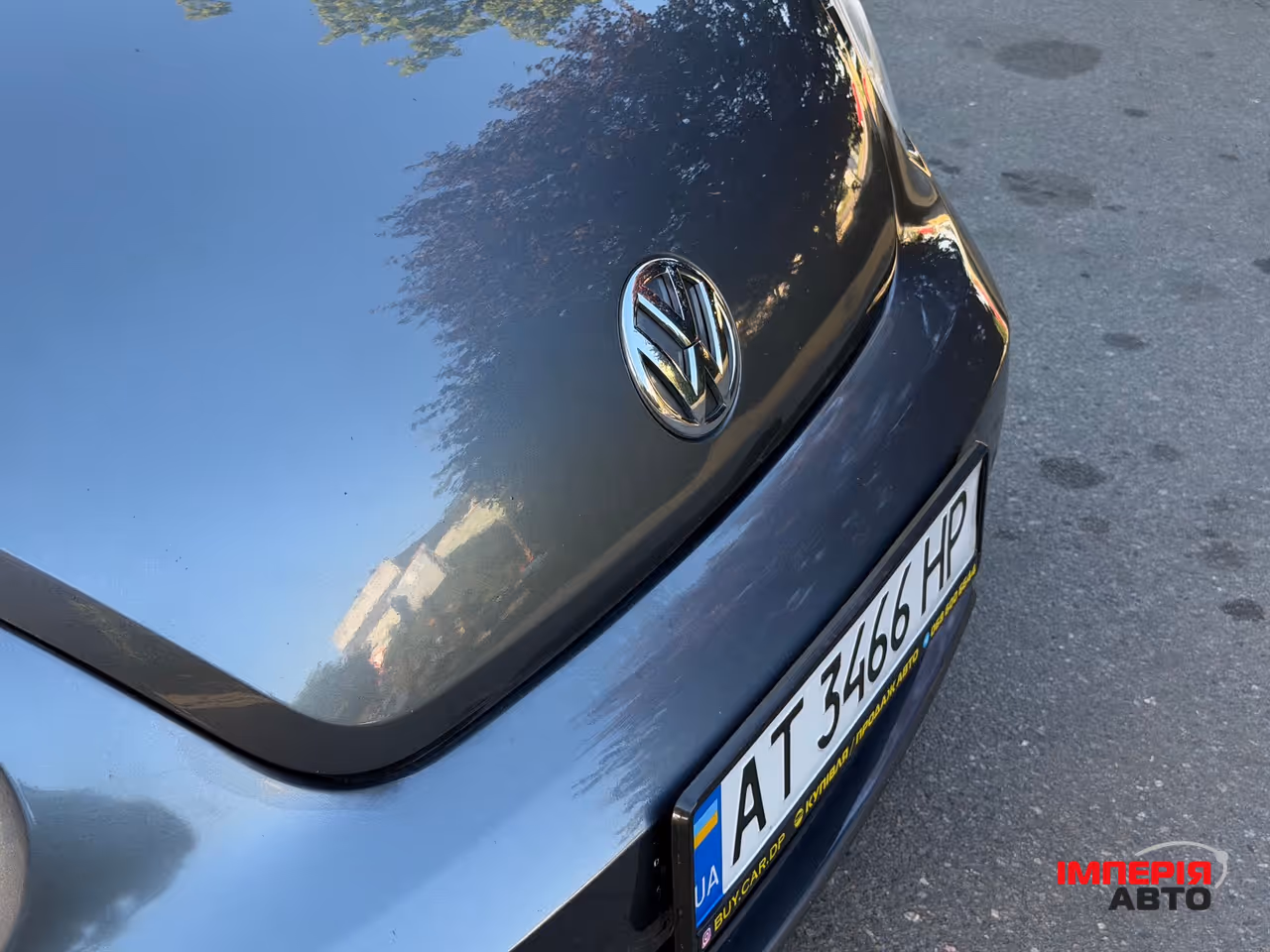 Volkswagen Beetle - фото 32