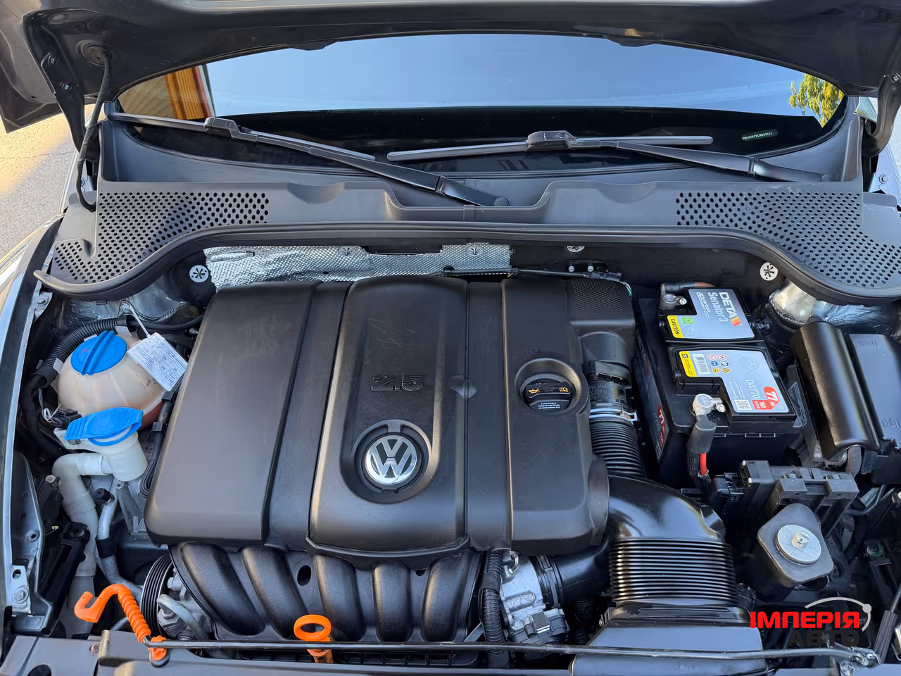 Volkswagen Beetle - фото 11