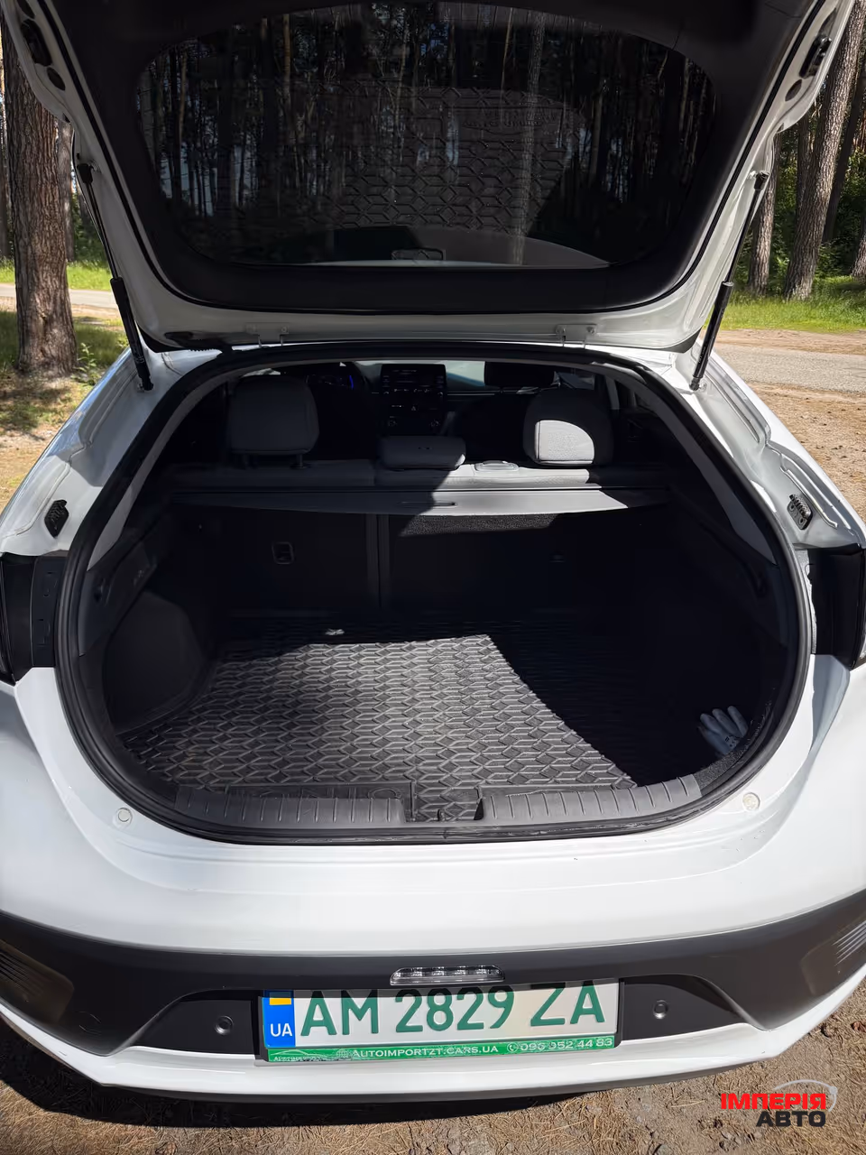 Hyundai IONIQ - фото 19