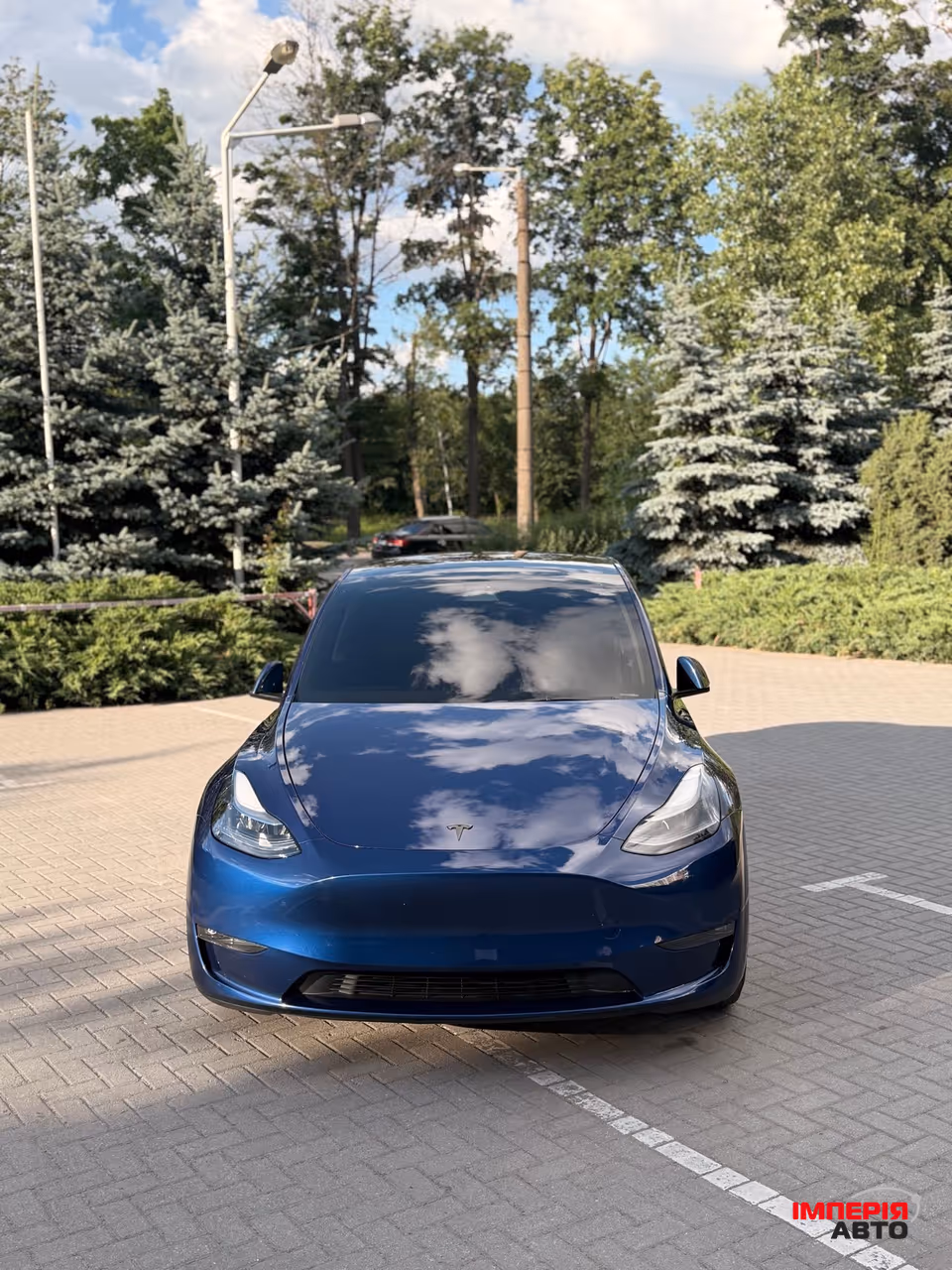 Tesla Model Y - фото 1