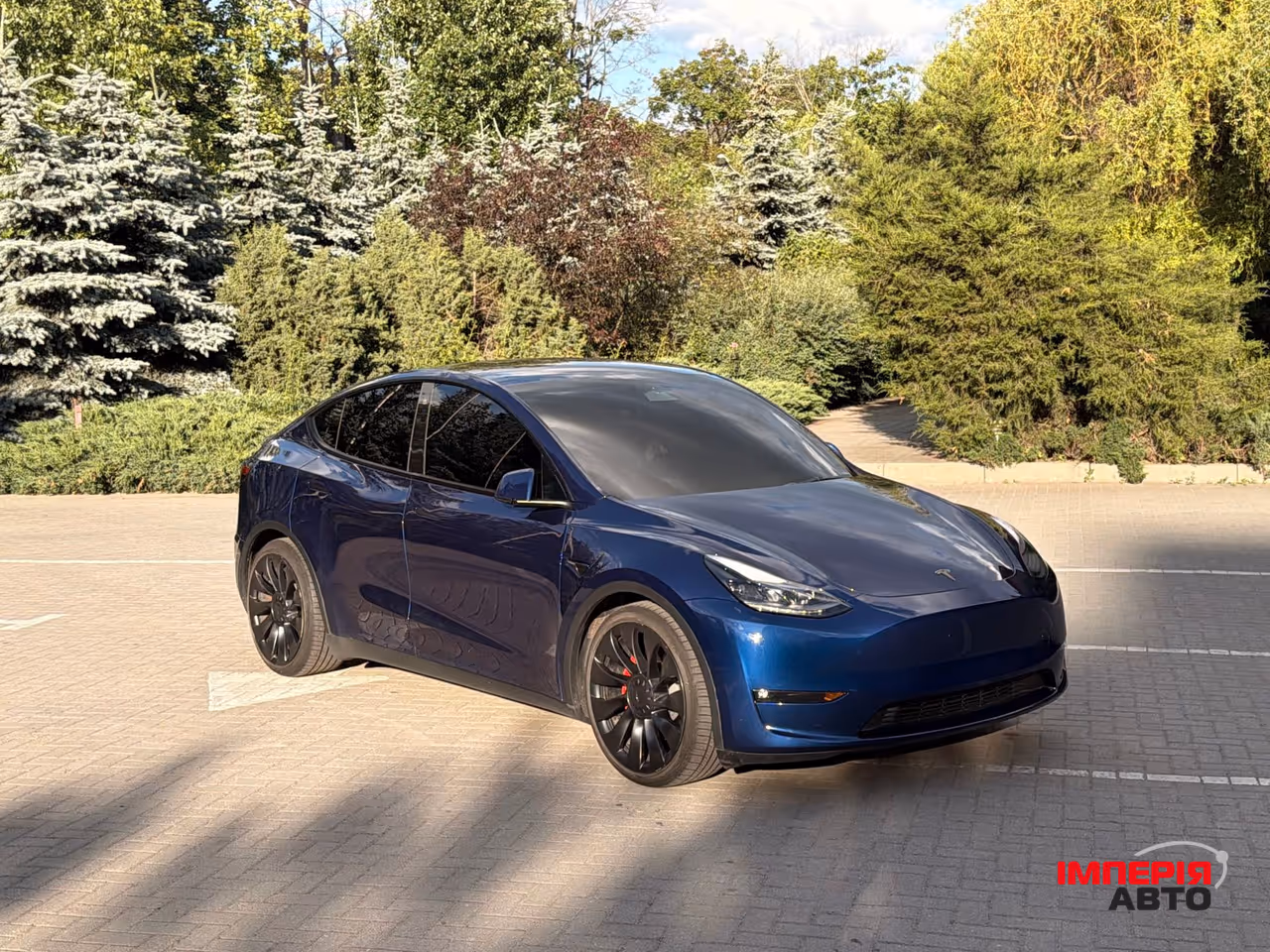 Tesla Model Y - фото 3
