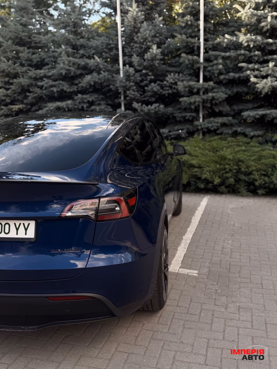 Tesla Model Y - фото 6