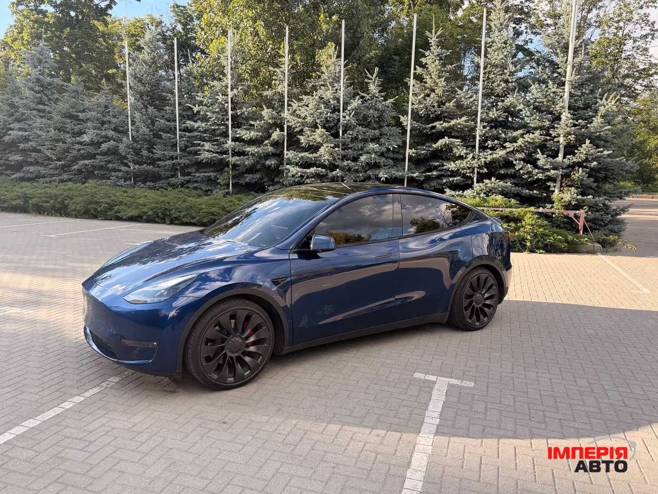 Tesla Model Y - фото 2
