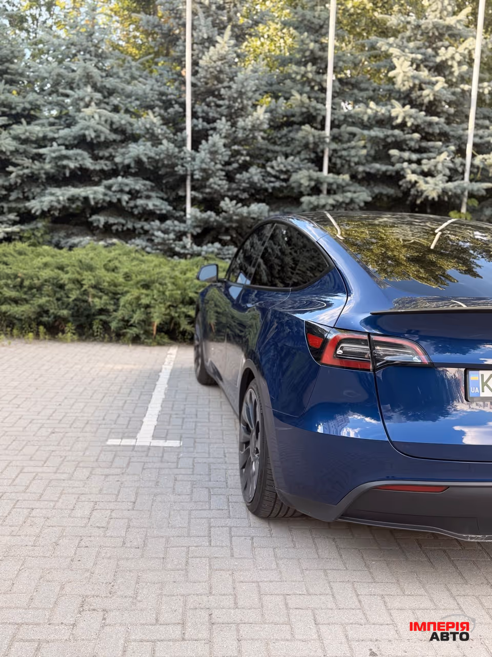 Tesla Model Y - фото 5
