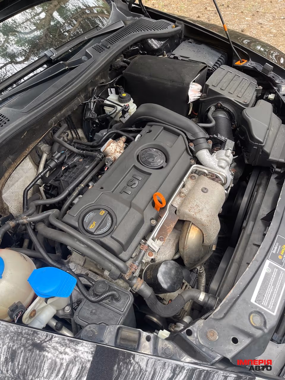 Skoda Octavia - фото 22