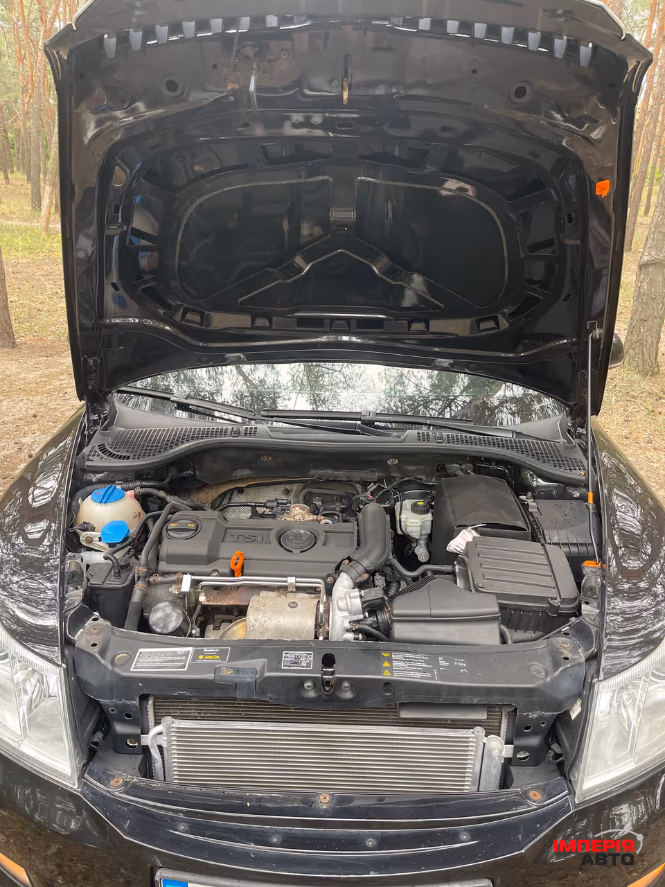 Skoda Octavia - фото 19