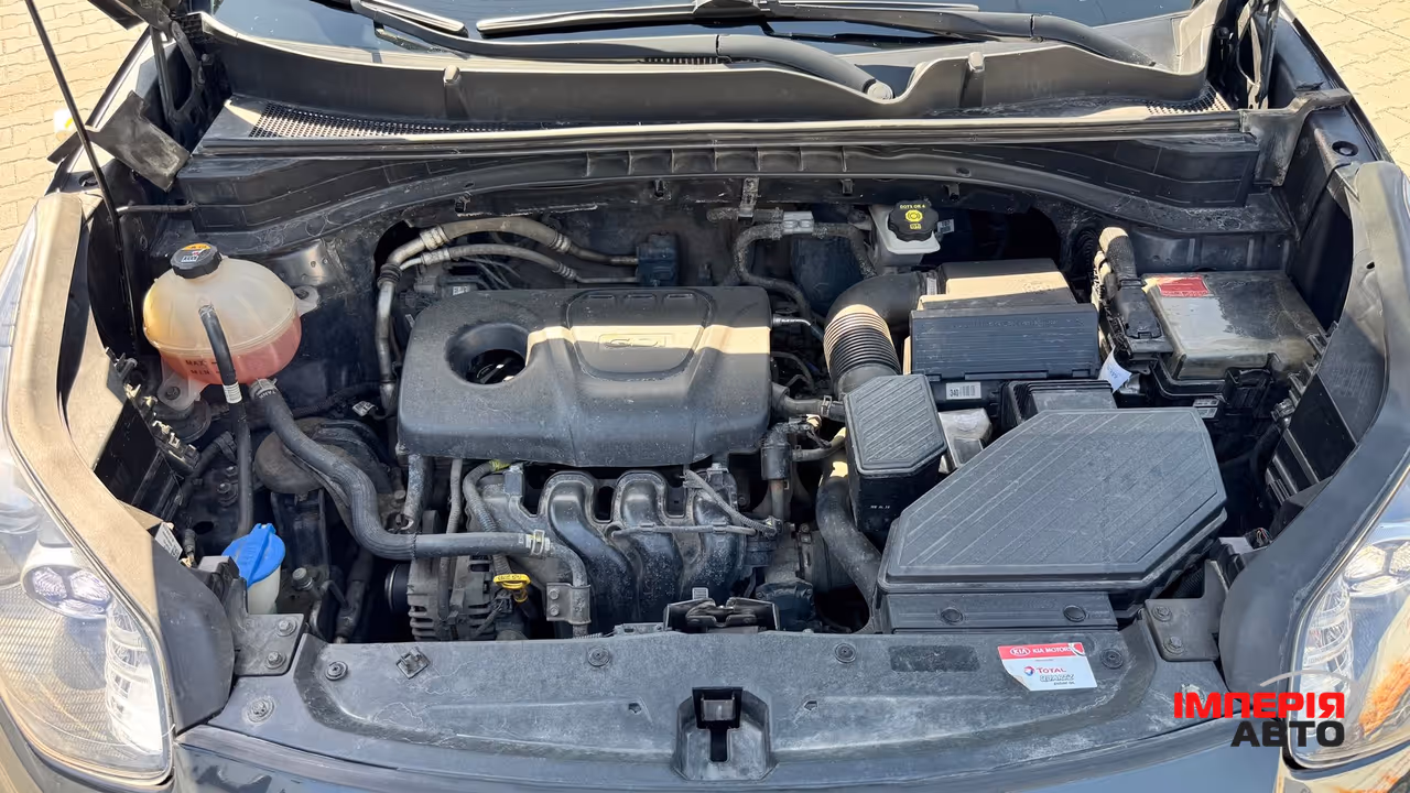 Kia Sportage - фото 34