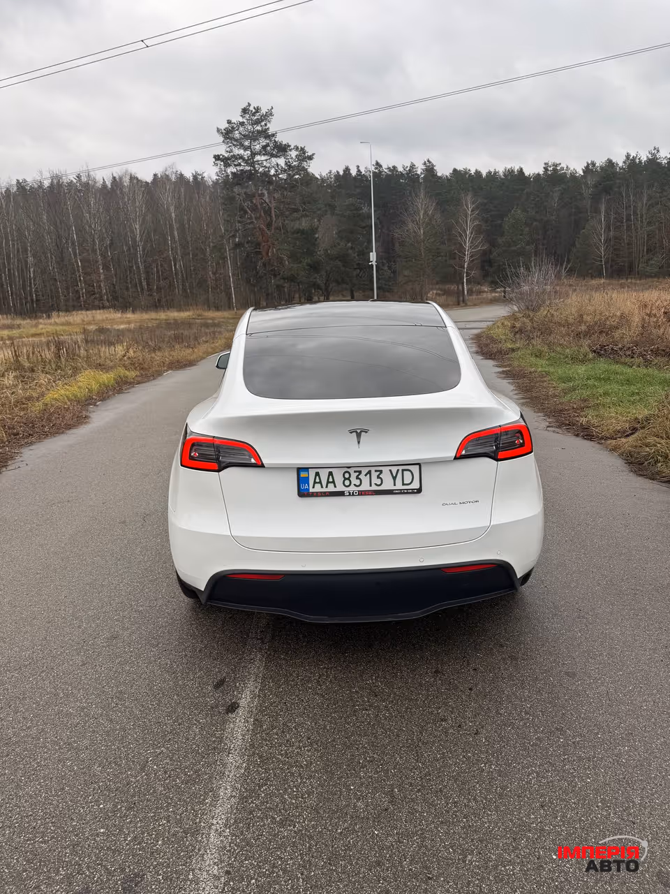 Tesla Model Y - фото 5