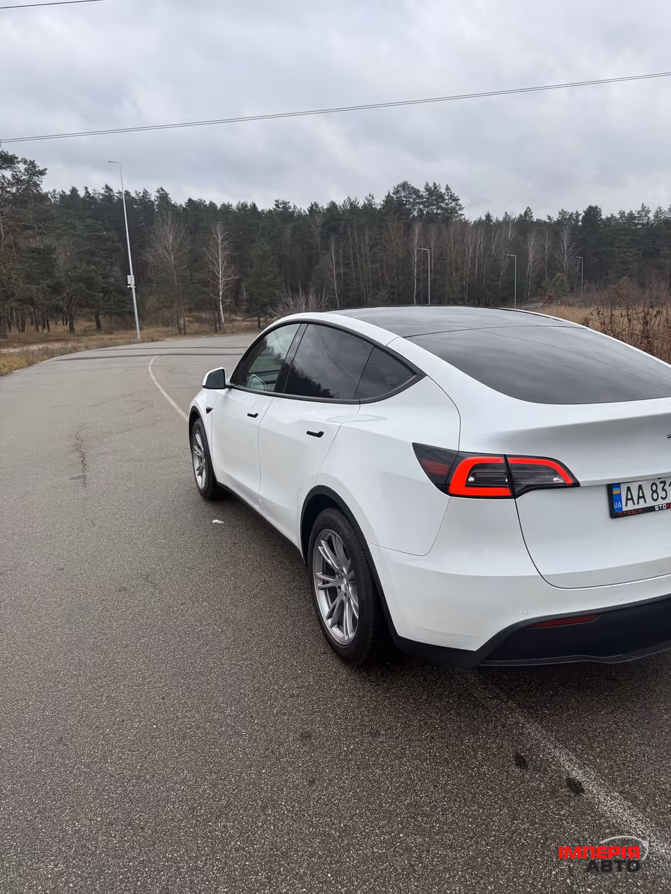 Tesla Model Y - фото 4