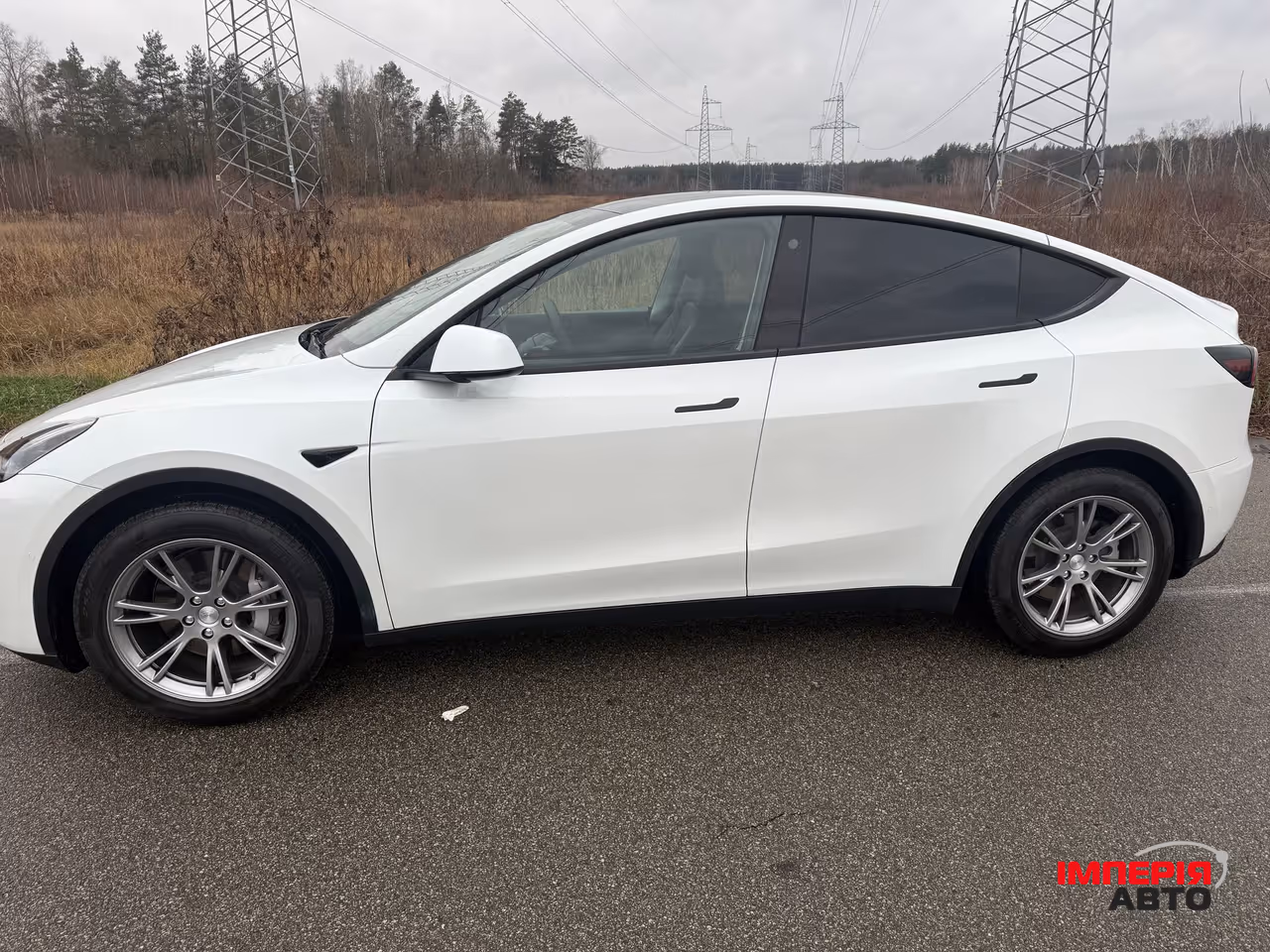 Tesla Model Y - фото 3