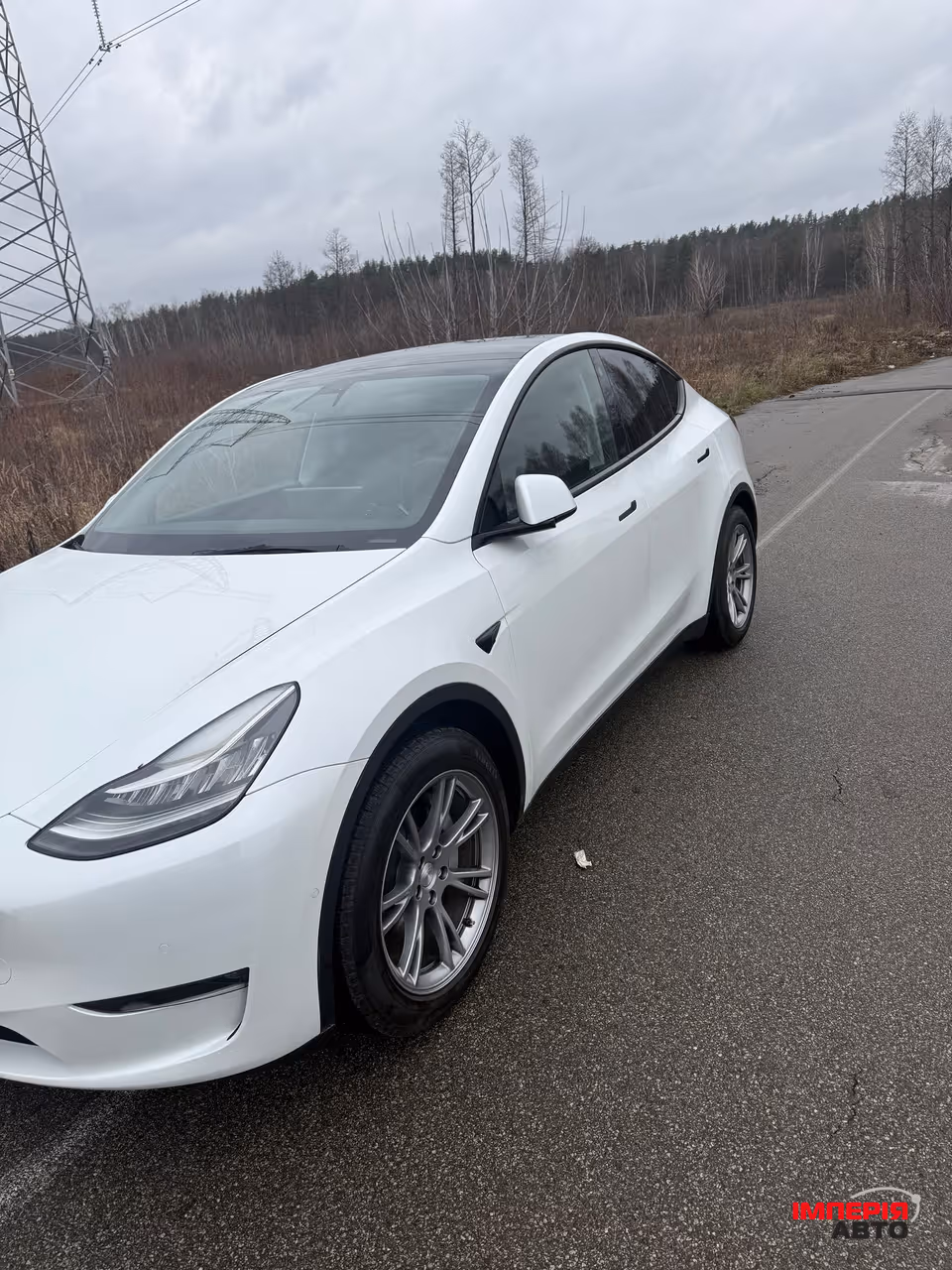 Tesla Model Y - фото 2