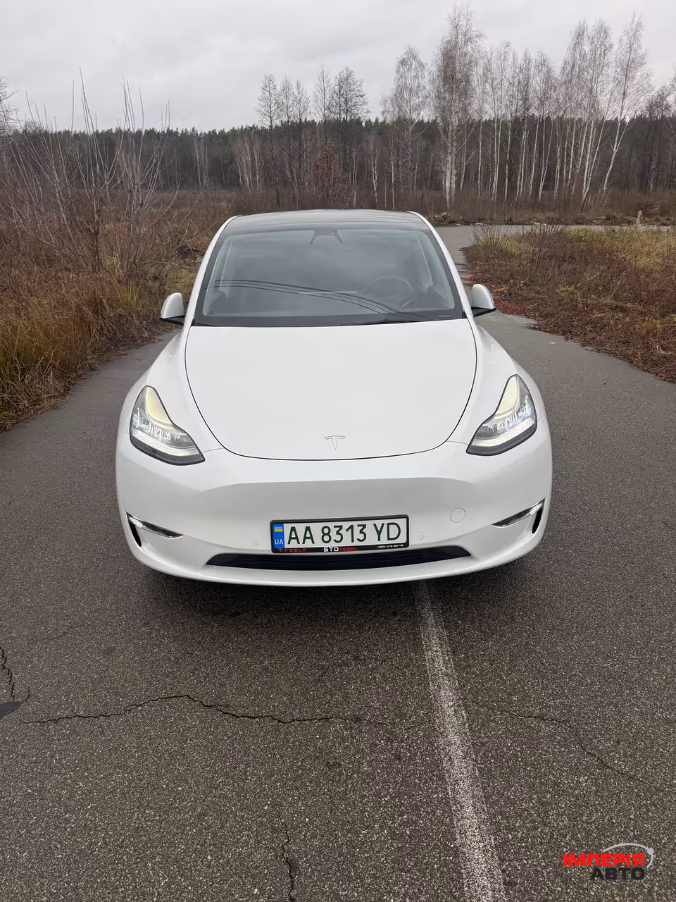 Tesla Model Y - фото 1