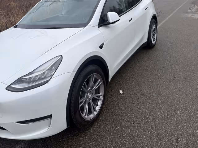 Tesla Model Y - фото 2