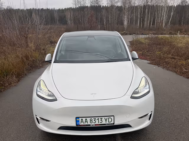 Tesla Model Y - фото 1