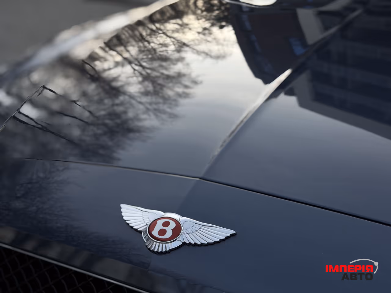 Bentley Continental GT - фото 13