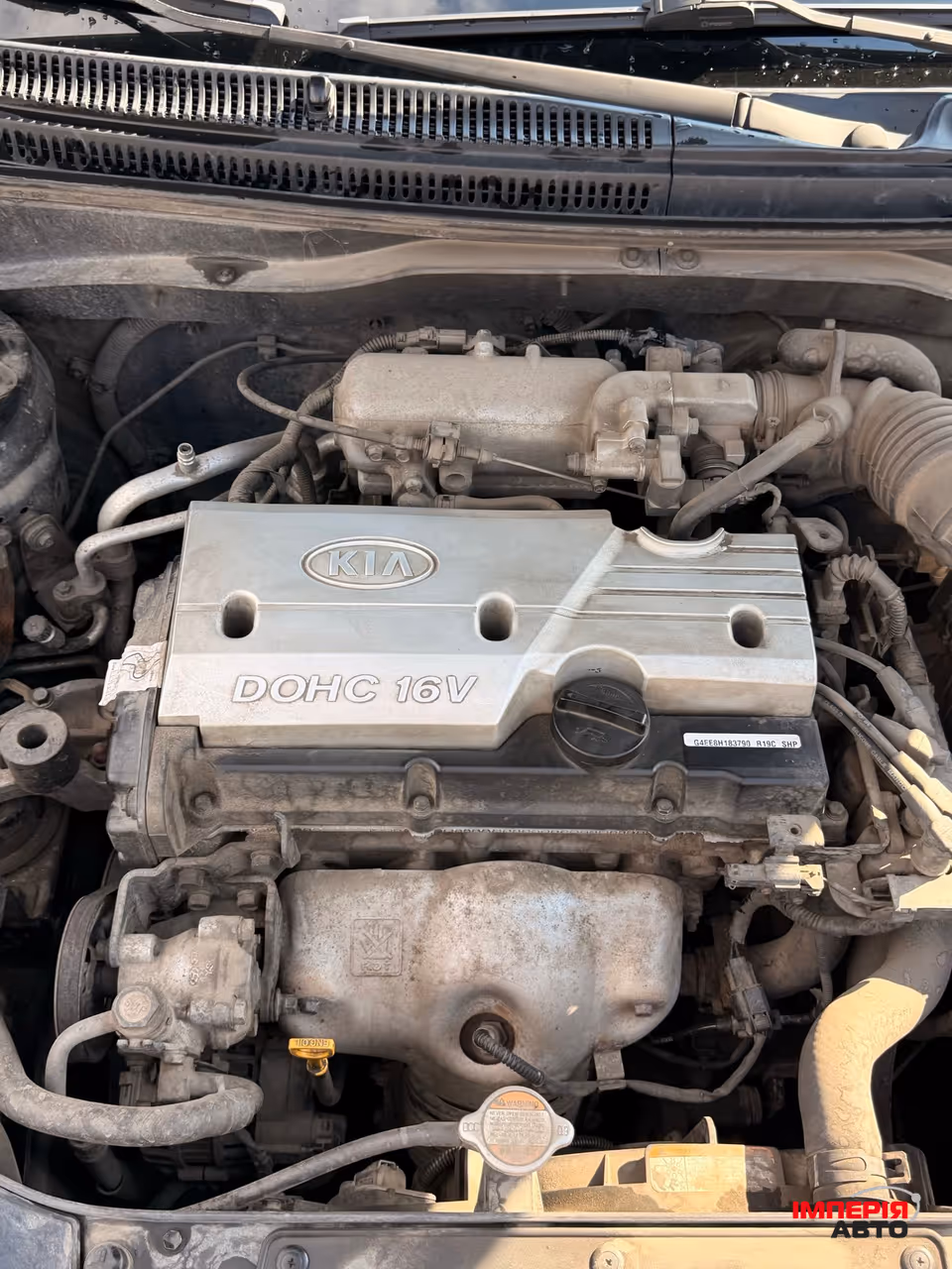 Kia Rio - фото 13