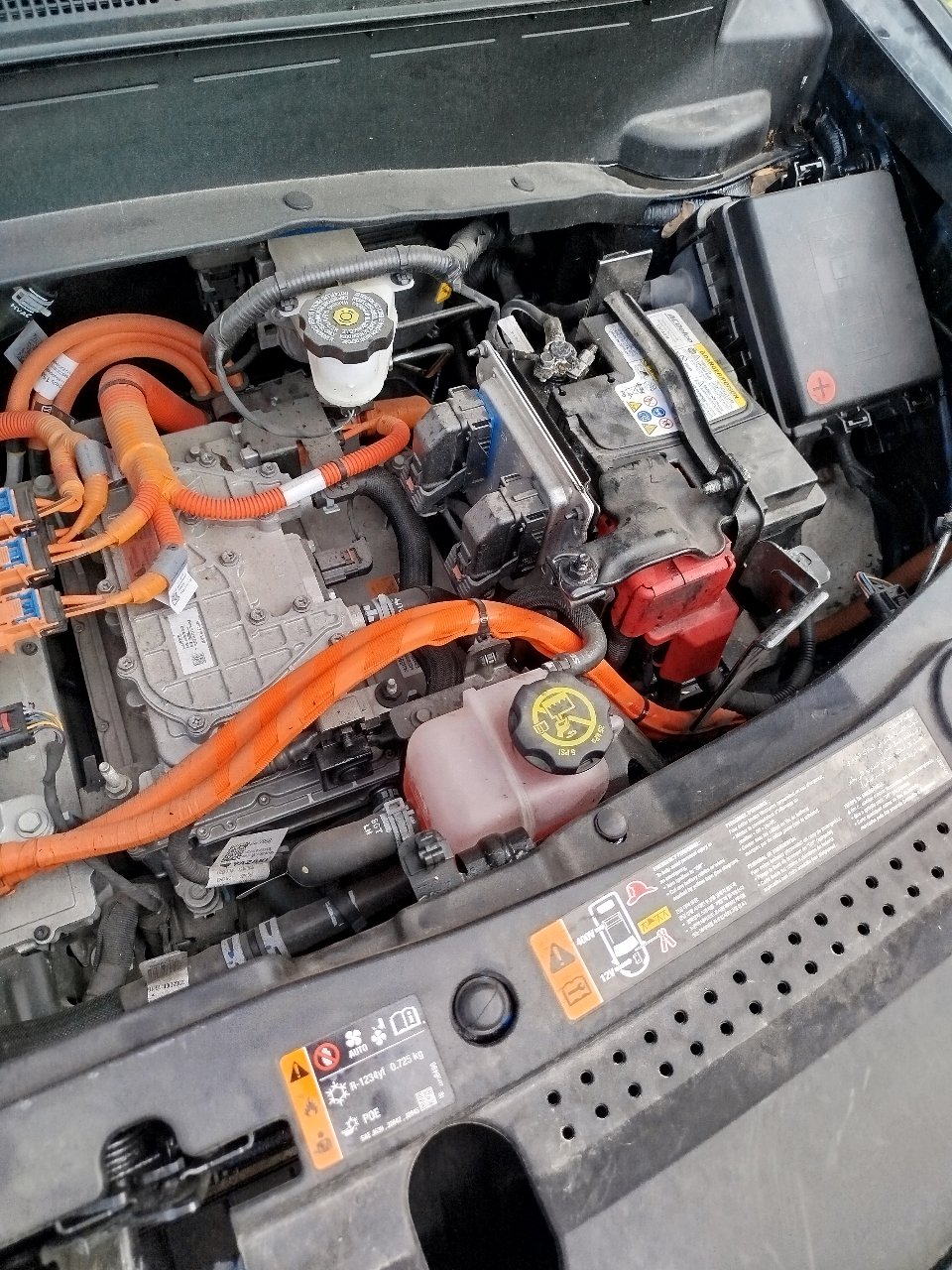 Chevrolet Bolt EUV - фото 17