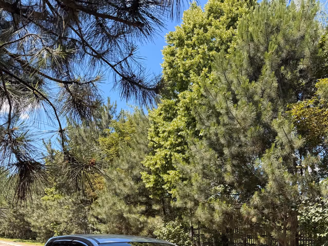 Nissan Qashqai - фото 4