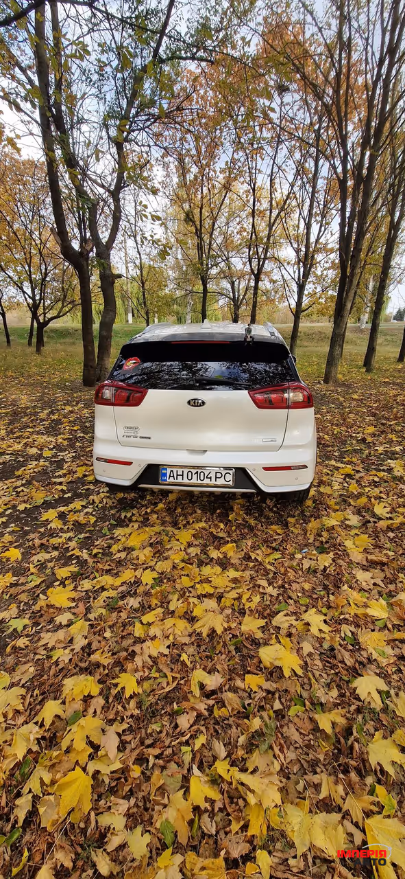 Kia Niro - фото 8