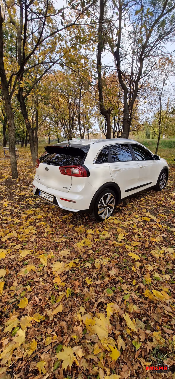 Kia Niro - фото 7