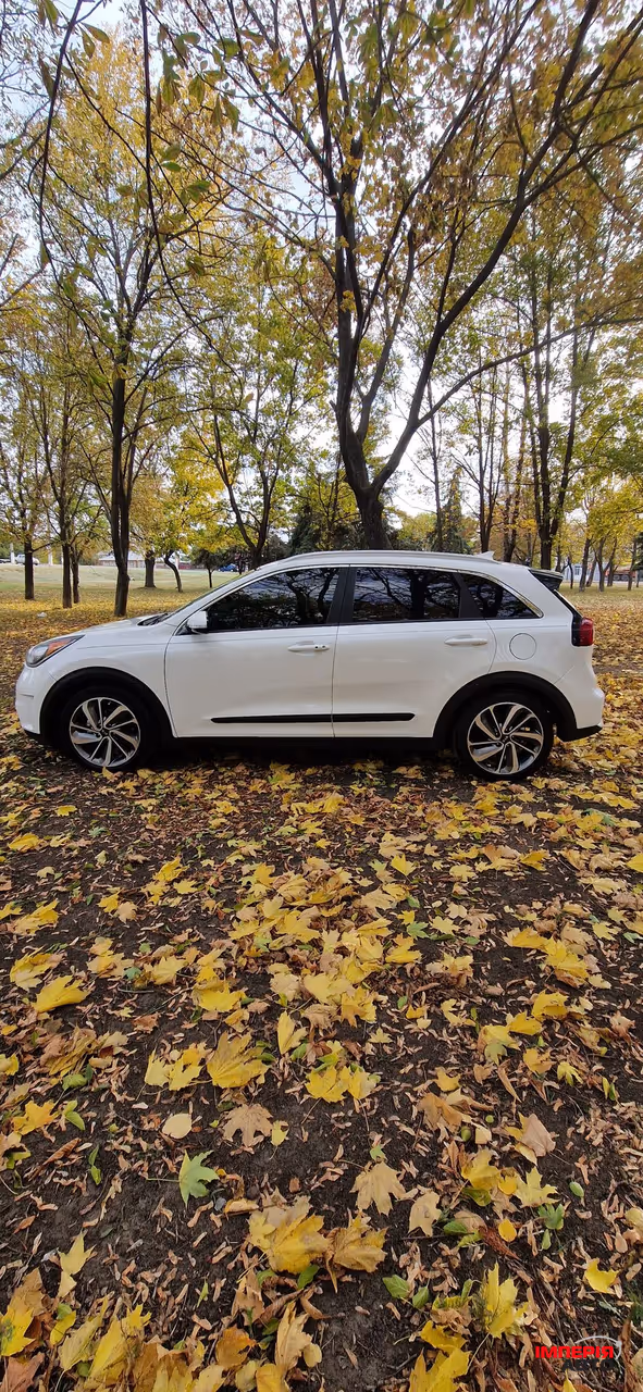 Kia Niro - фото 11
