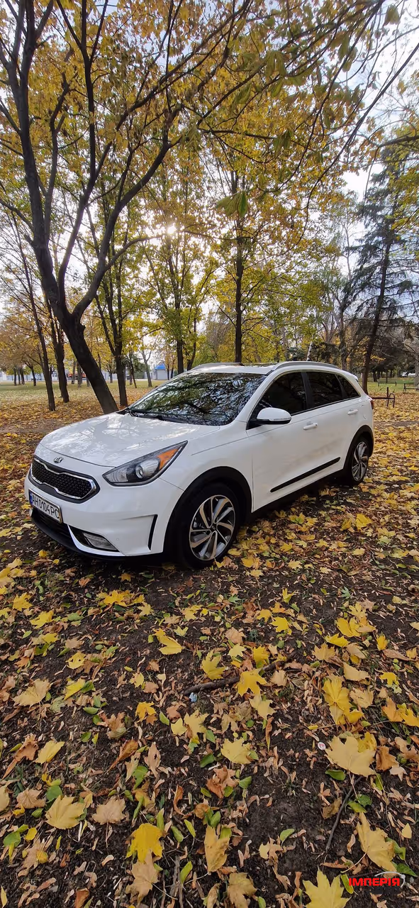 Kia Niro - фото 12