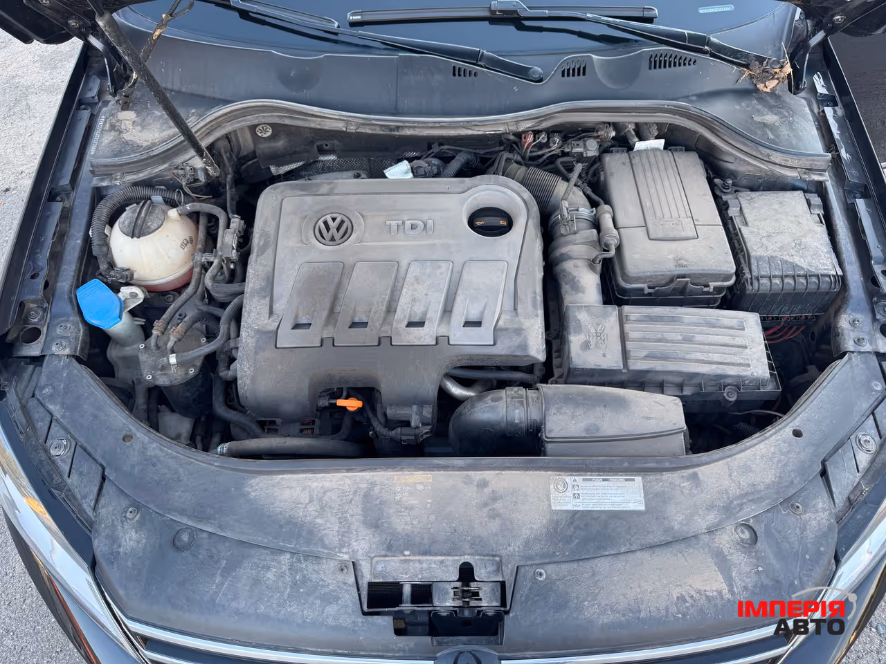 Volkswagen Passat - фото 29