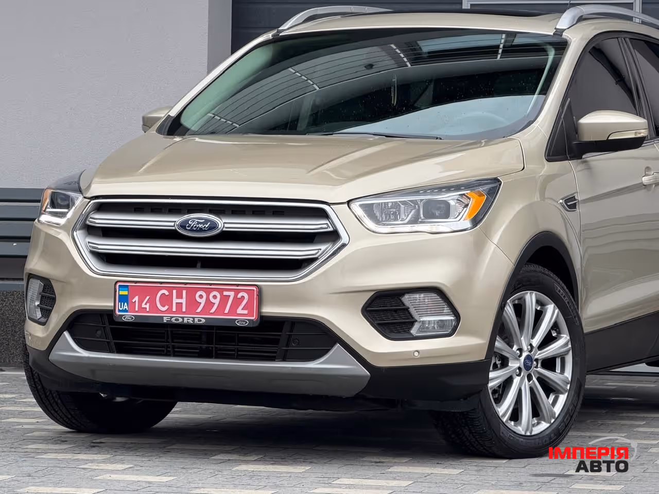 Ford Escape - фото 4