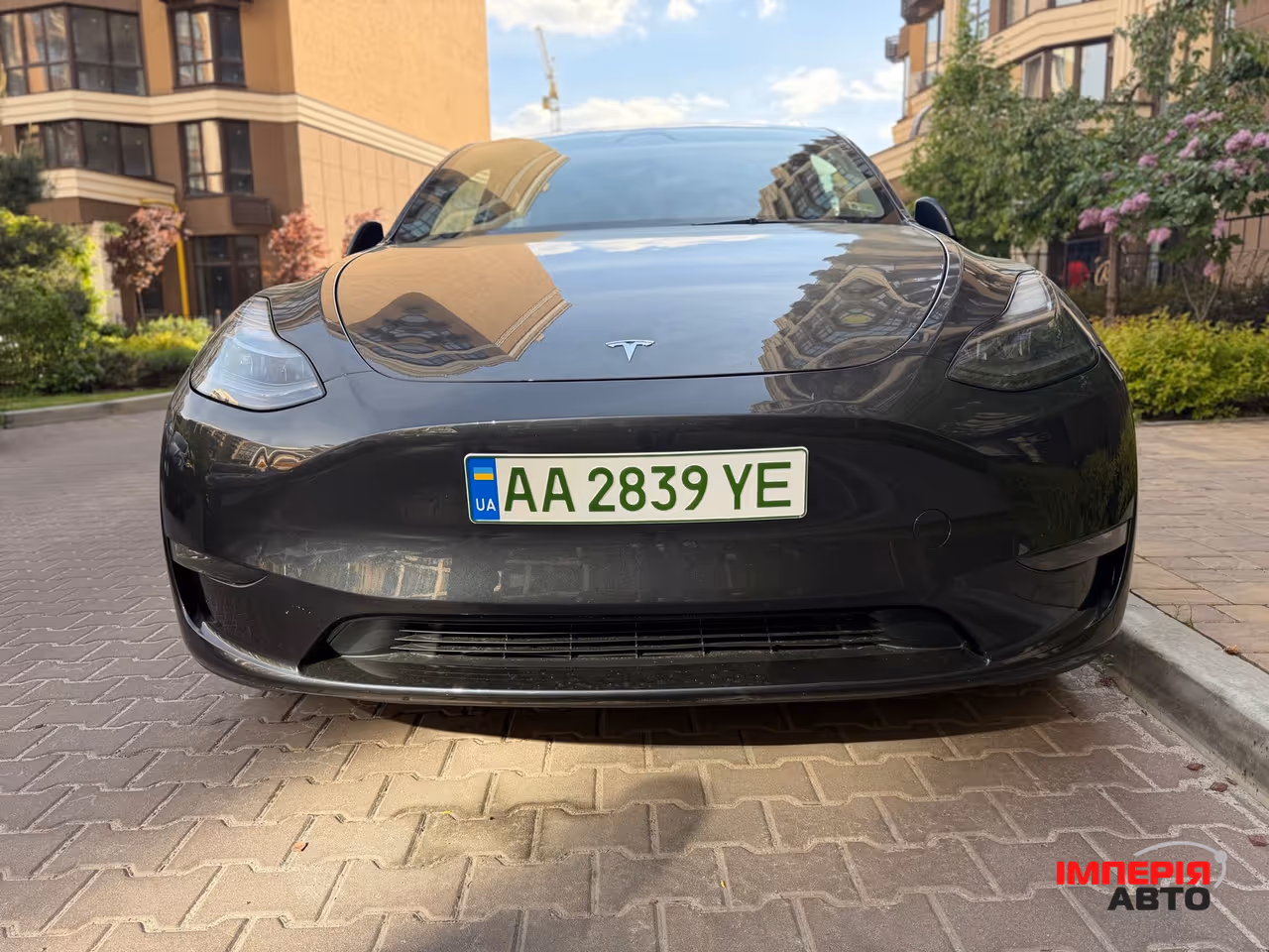 Tesla Model Y - фото 8