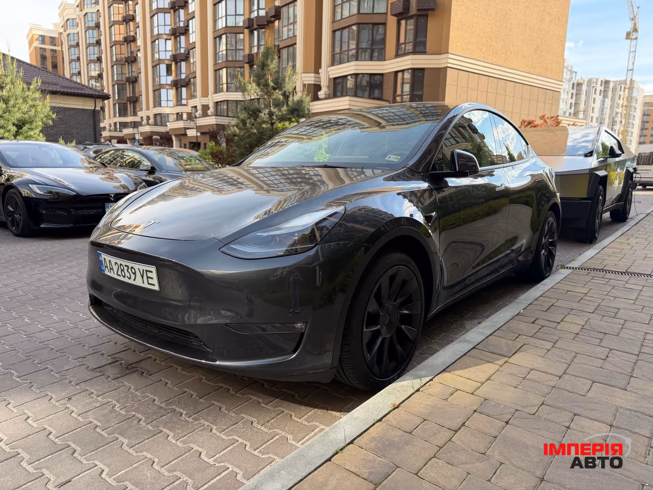 Tesla Model Y - фото 1