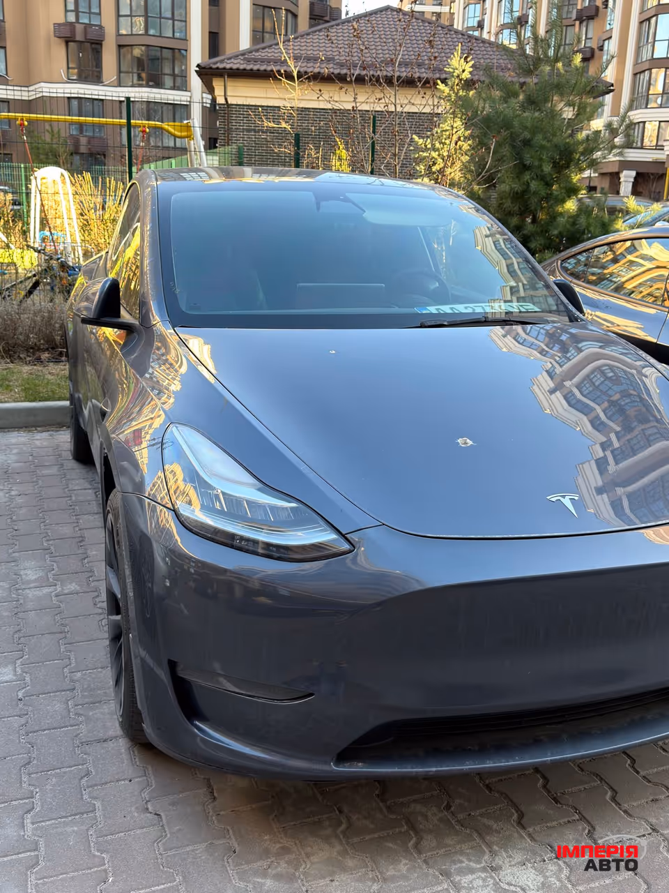 Tesla Model Y - фото 2