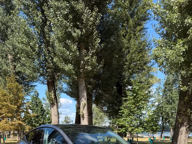 Tesla Model Y - зображення 2