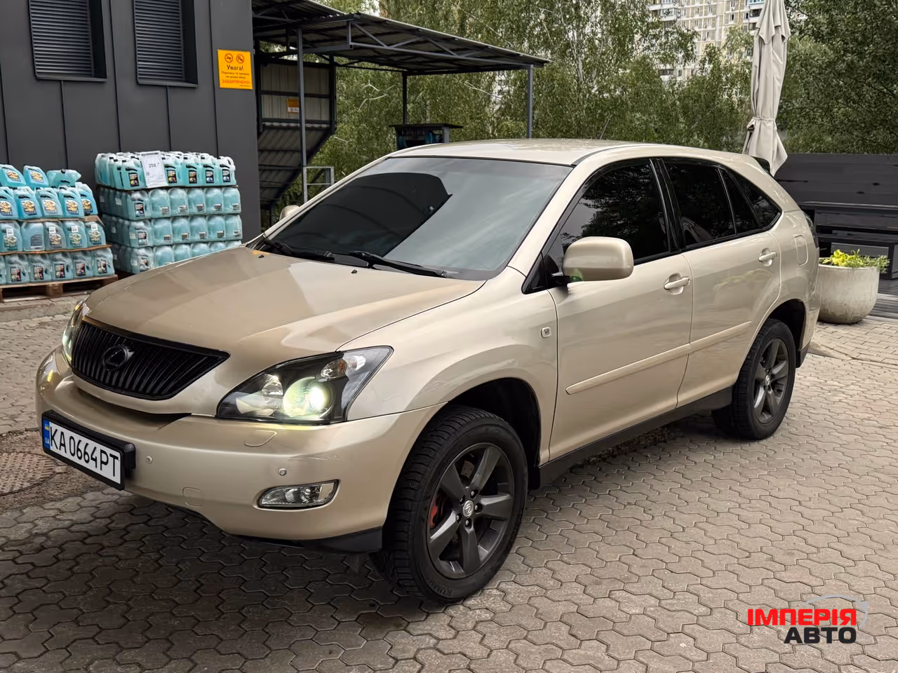 Lexus RX - фото 11