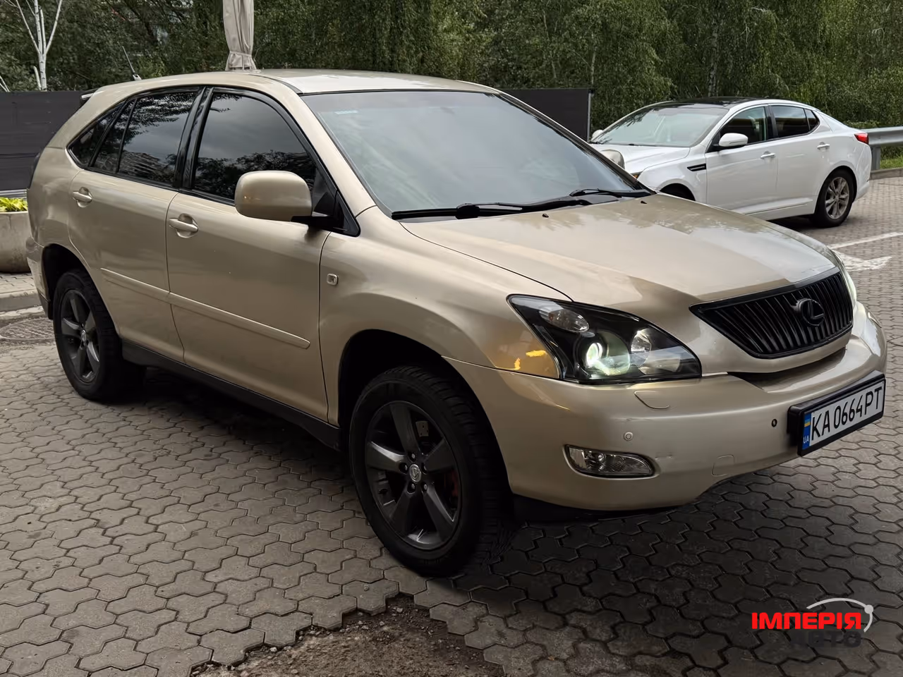 Lexus RX - фото 9