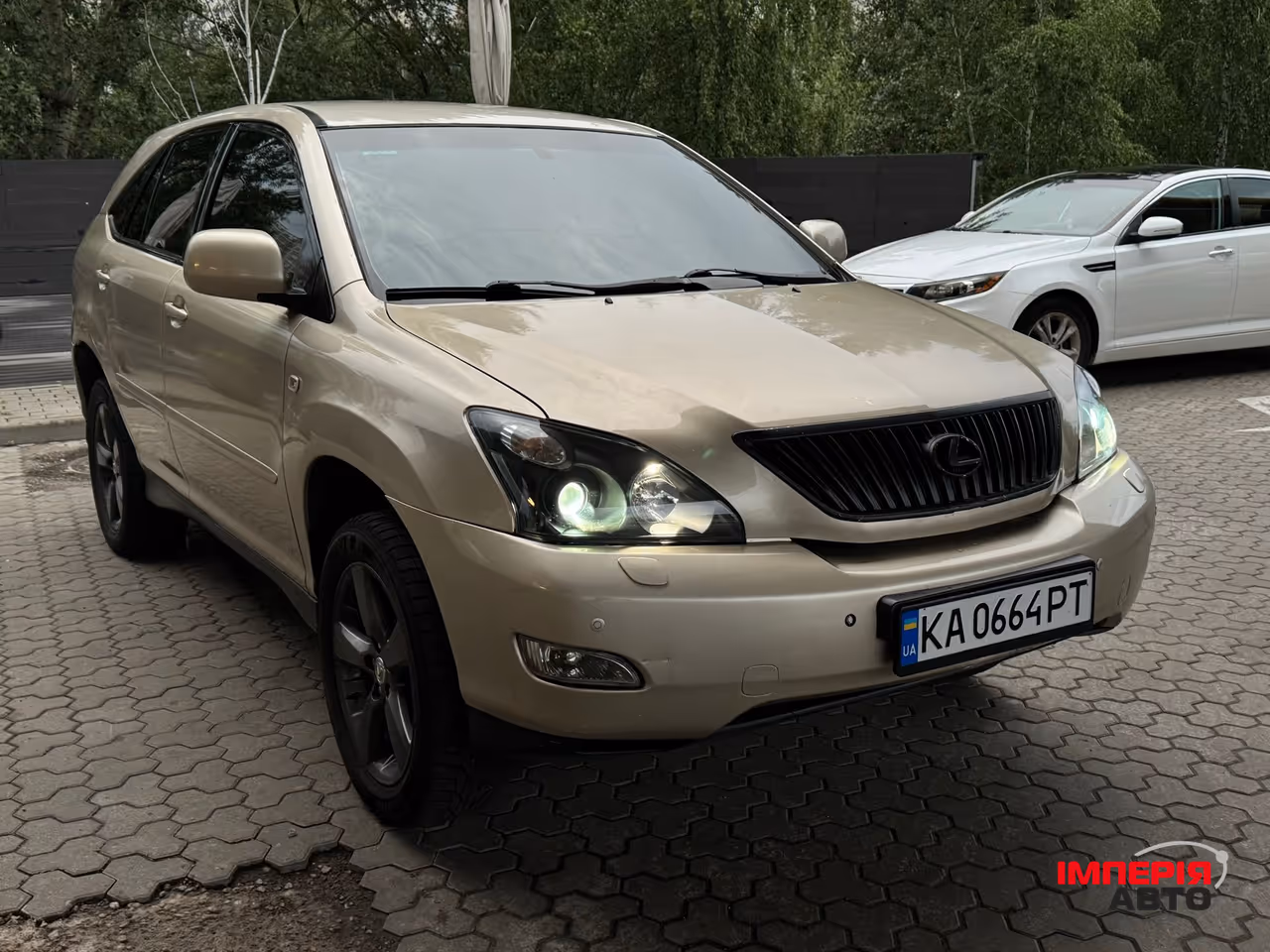 Lexus RX - фото 8