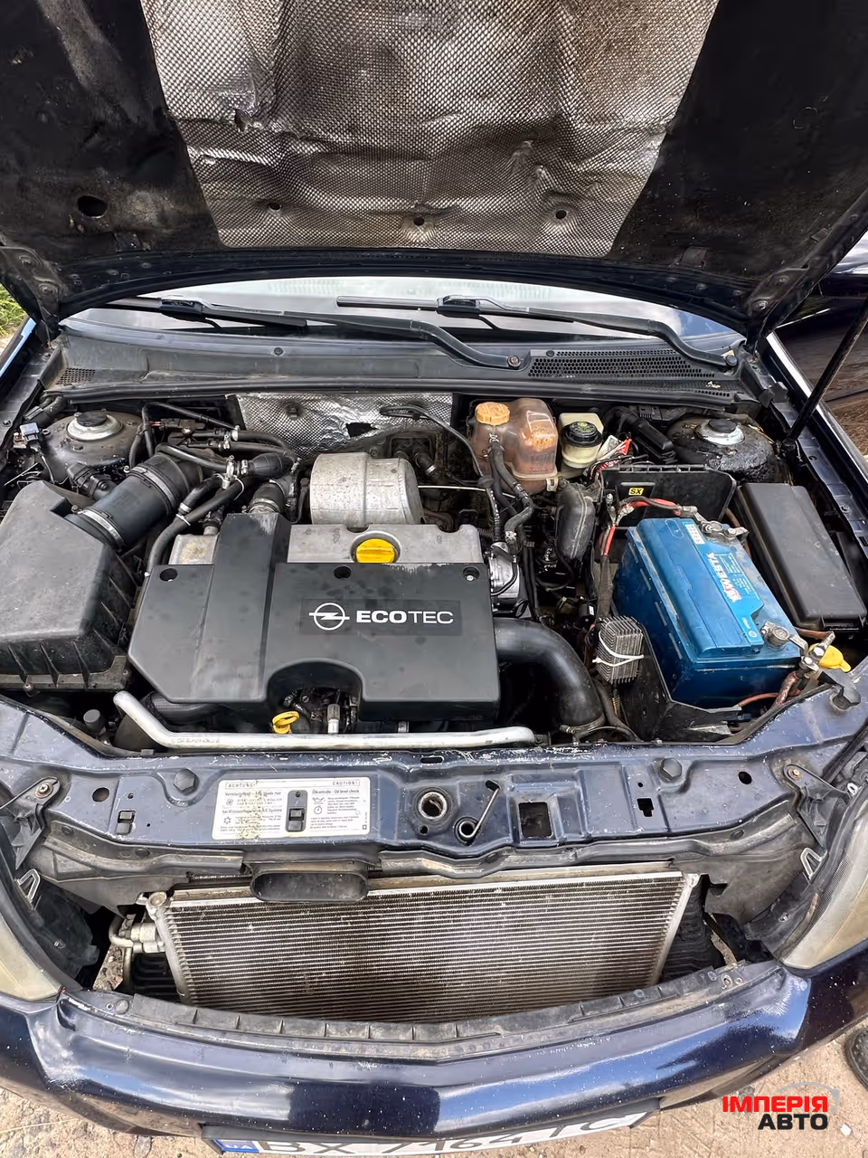 Opel Signum - фото 20