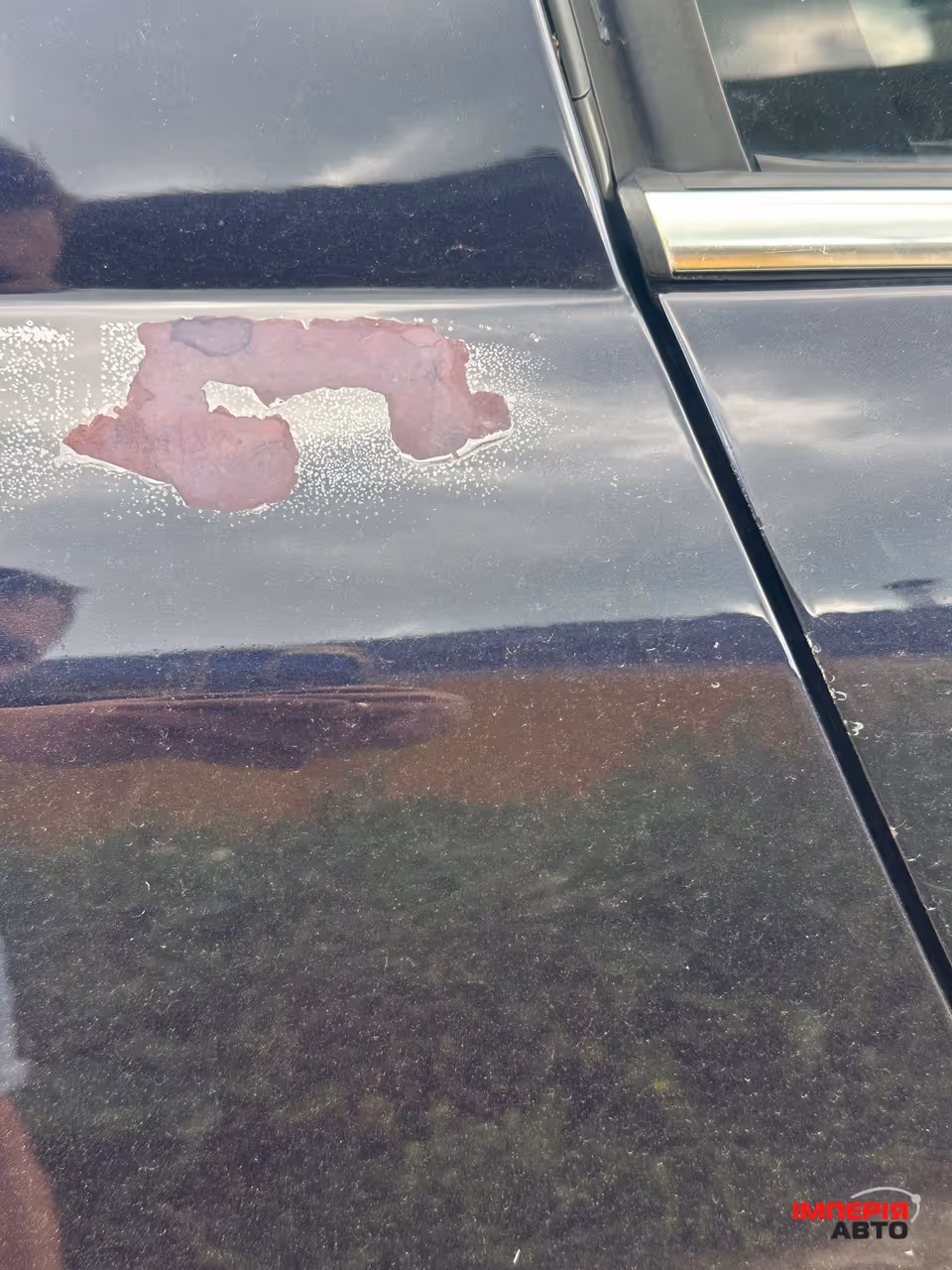Opel Signum - фото 6