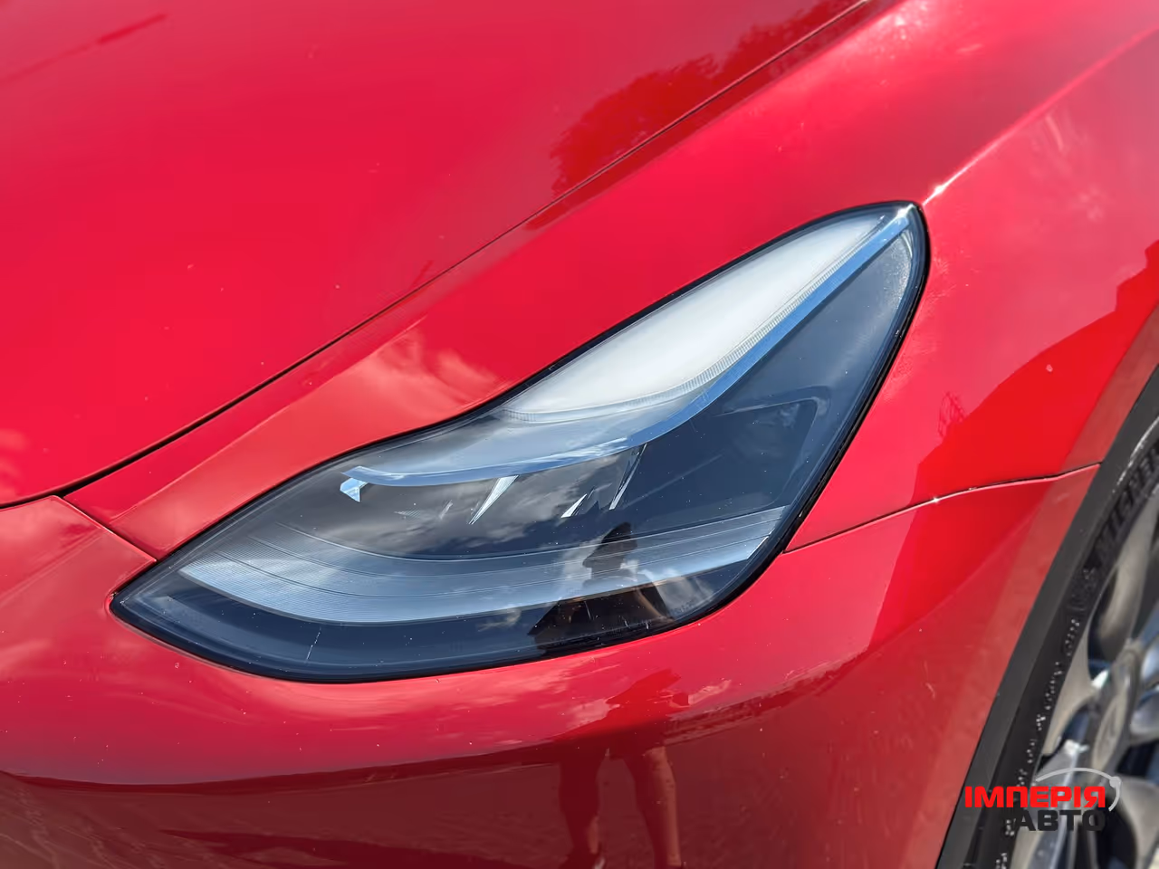 Tesla Model Y - фото 20