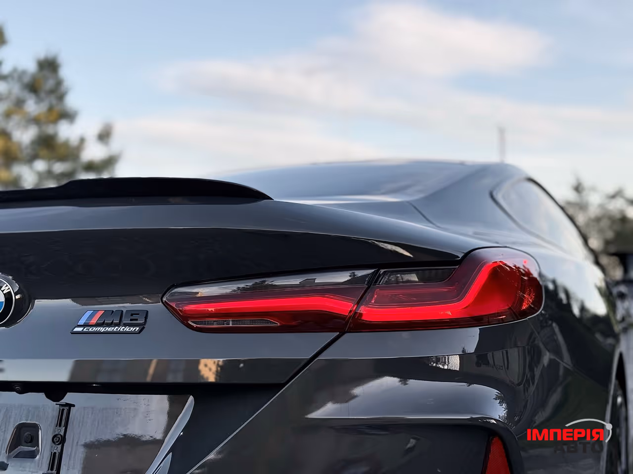 BMW M8 - фото 23