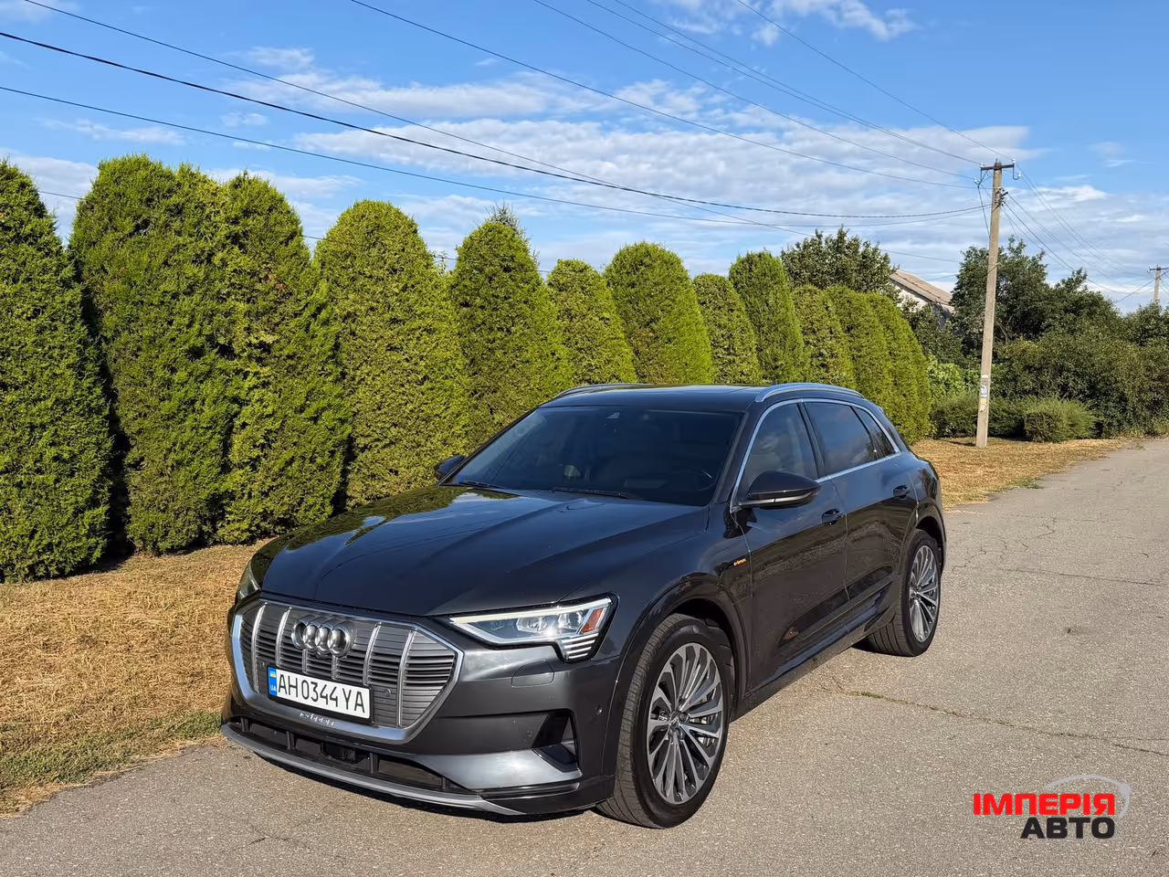 Audi e-tron - фото 1