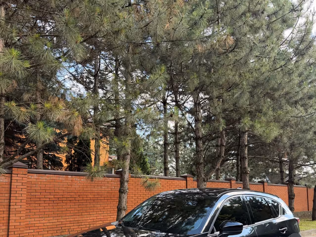 Mazda CX-5 - фото 3