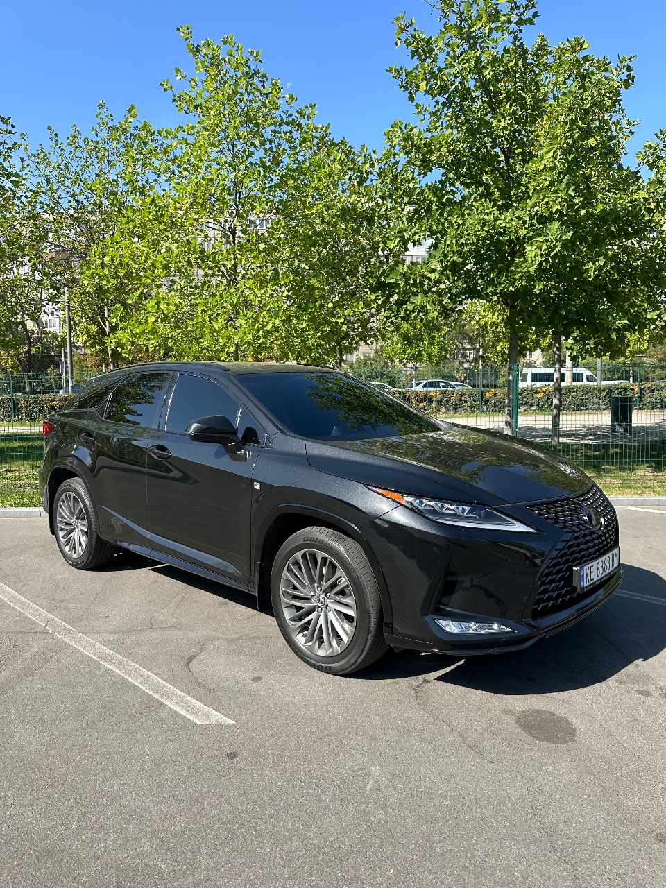 Lexus RX - фото 6