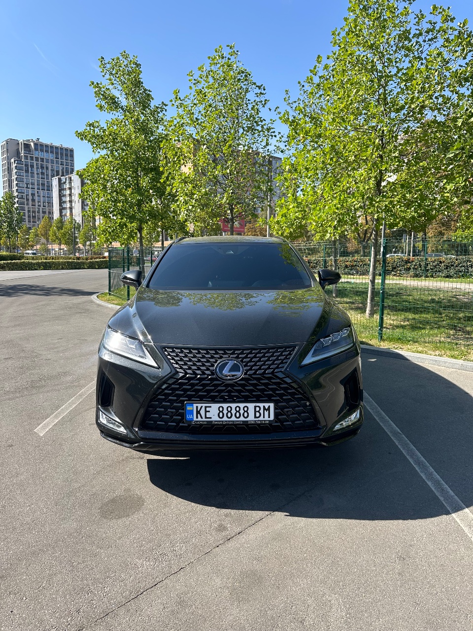 Lexus RX - фото 2